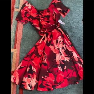 Tea length crimson dress with belt.